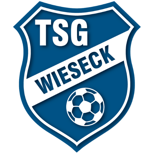TSG Wieseck - JugendFörderzentrum